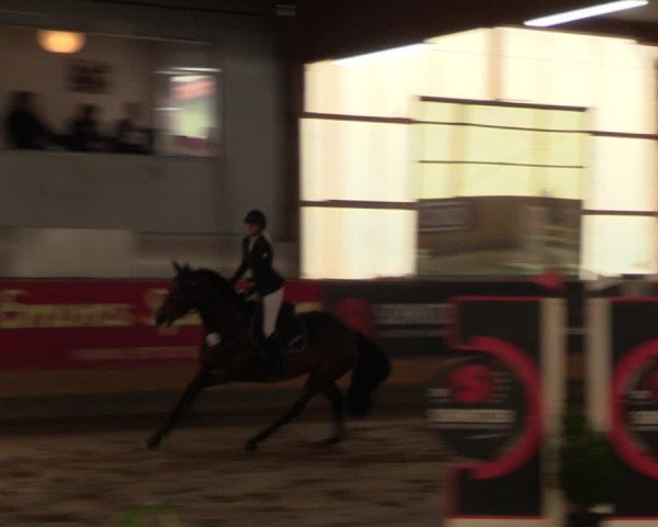 Große Jumping-Trophy Pausin 2021