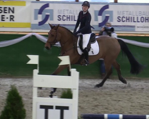 Reitturnier Keppeln - Reitanlage "Hötzenhof" 2020