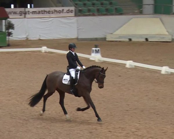 Reitturnier Kreuth/Opf. 2020