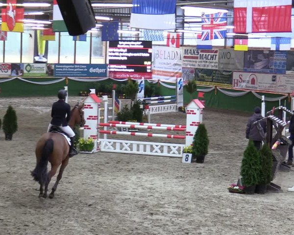 Reitturnier Keppeln - Reitanlage "Hötzenhof" 2020
