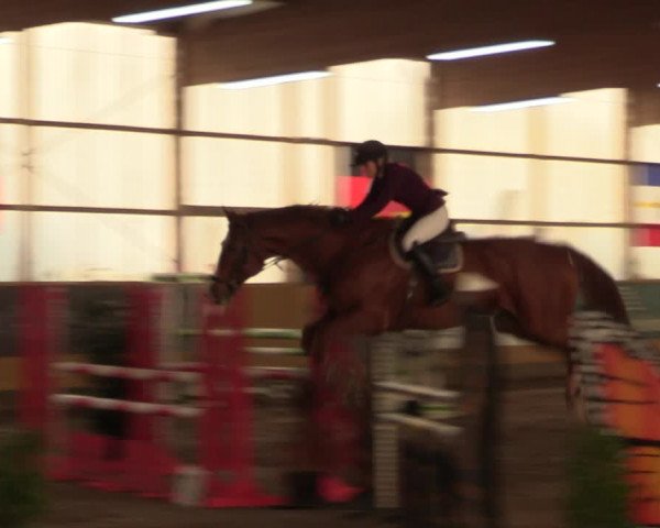 Große Jumping-Trophy Pausin 2021