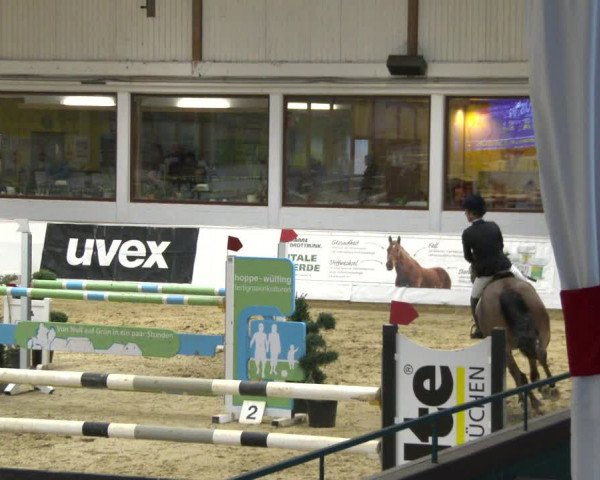 Reitturnier Borken 2020