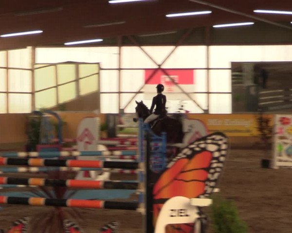 Große Jumping-Trophy Pausin 2021