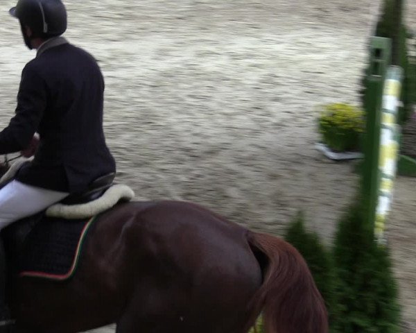 Reitturnier Keppeln - Reitanlage "Hötzenhof" 2020