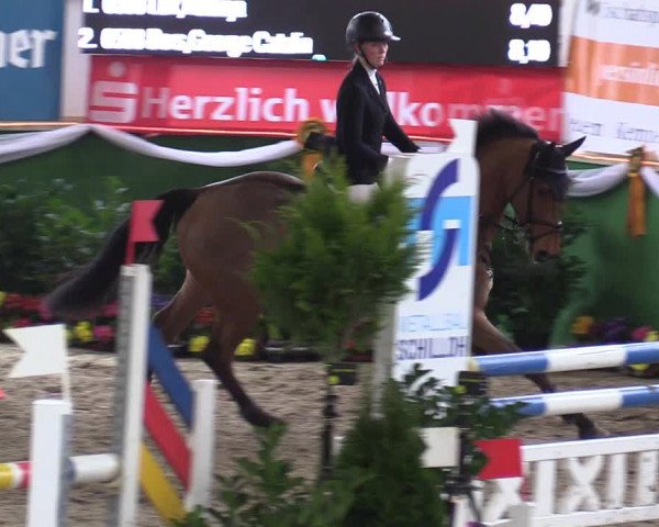 Reitturnier Keppeln - Reitanlage "Hötzenhof" 2020