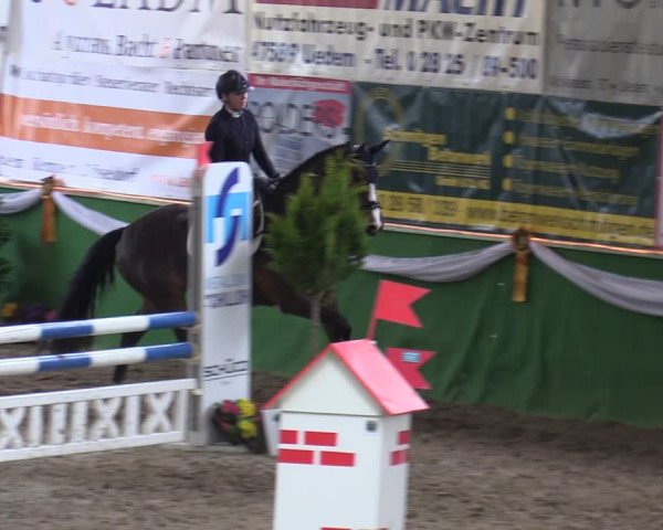 Reitturnier Keppeln - Reitanlage "Hötzenhof" 2020