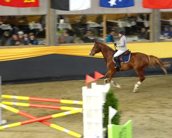 Reitturnier Erlen 2020