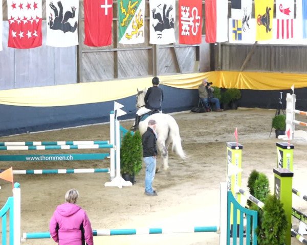 Reitturnier Erlen 2020