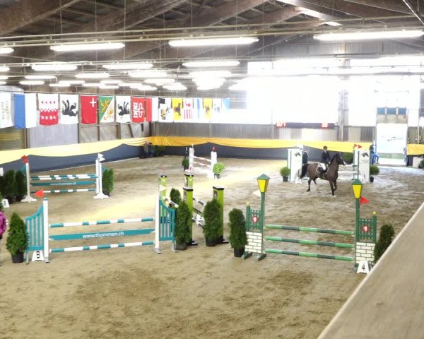 Reitturnier Erlen 2020