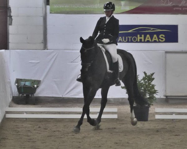 Reitturnier Viernheim 2020