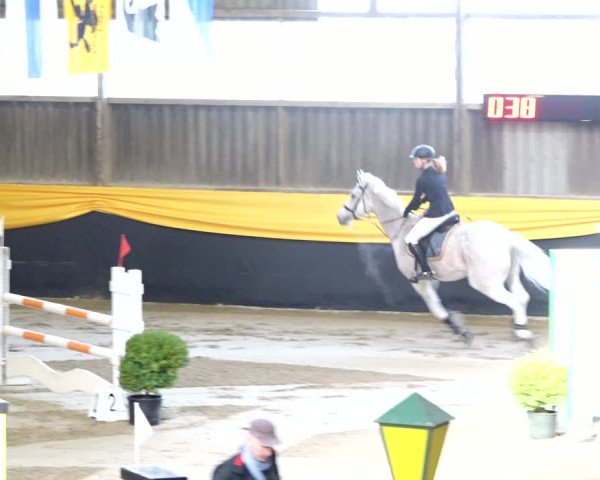 Reitturnier Erlen 2020