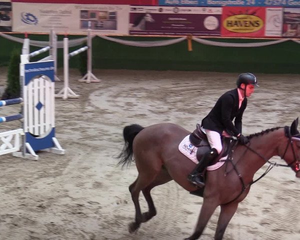 Reitturnier Keppeln - Reitanlage "Hötzenhof" 2020