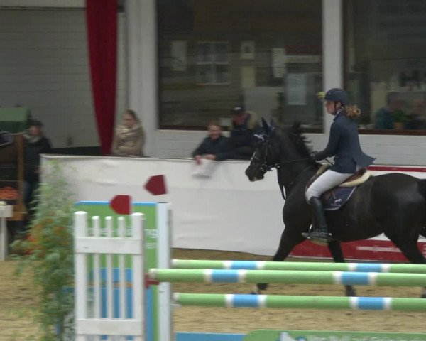 Reitturnier Borken 2020