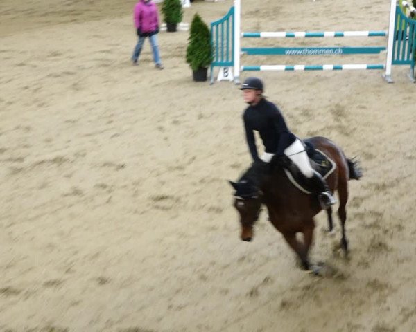 Reitturnier Erlen 2020