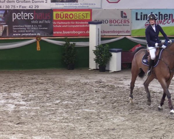 Reitturnier Keppeln - Reitanlage "Hötzenhof" 2020