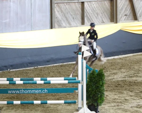 Reitturnier Erlen 2020