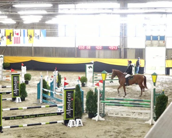 Reitturnier Erlen 2020