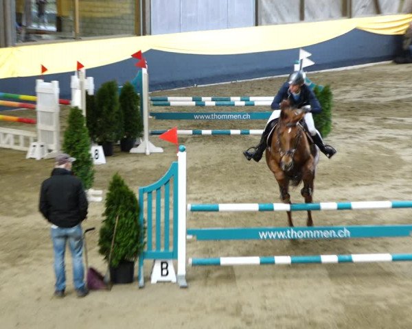 Reitturnier Erlen 2020