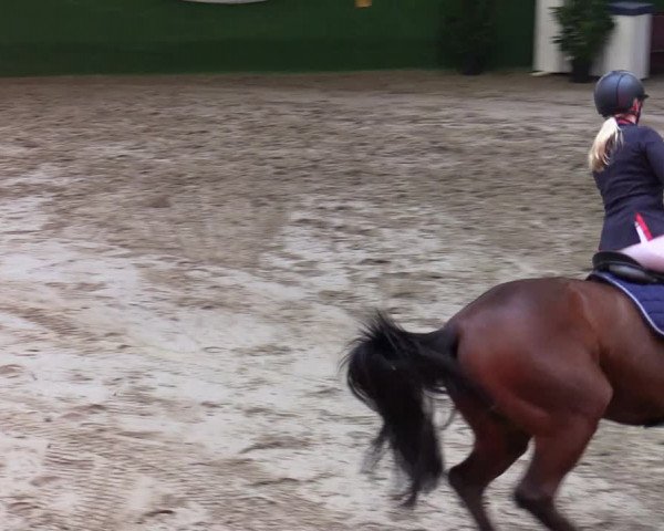 Reitturnier Keppeln - Reitanlage "Hötzenhof" 2020