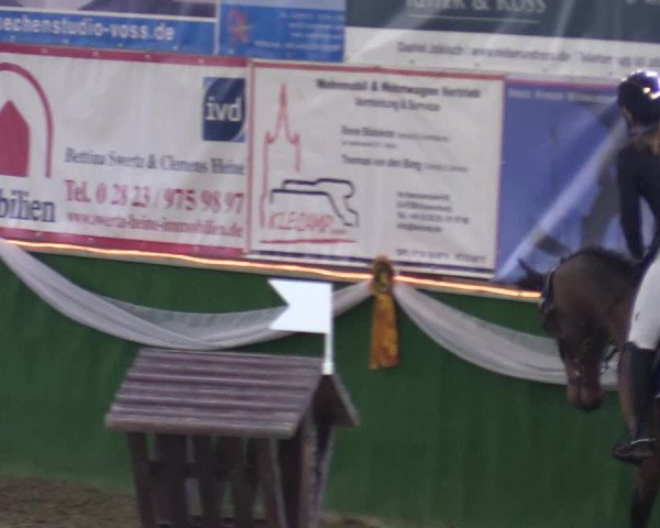 Reitturnier Keppeln - Reitanlage "Hötzenhof" 2020
