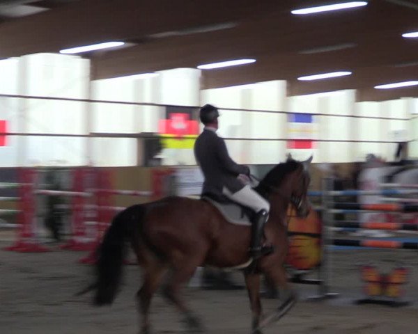 Große Jumping-Trophy Pausin 2021