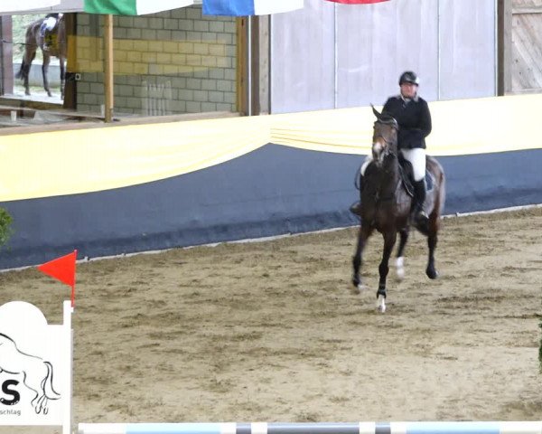 Reitturnier Erlen 2020