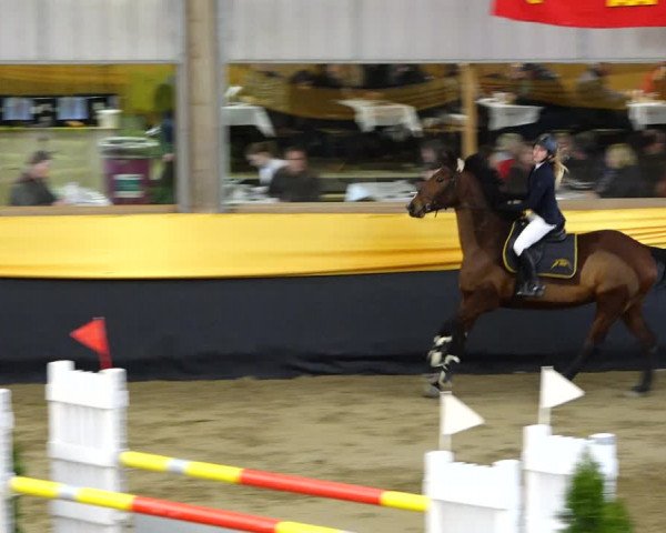 Reitturnier Erlen 2020