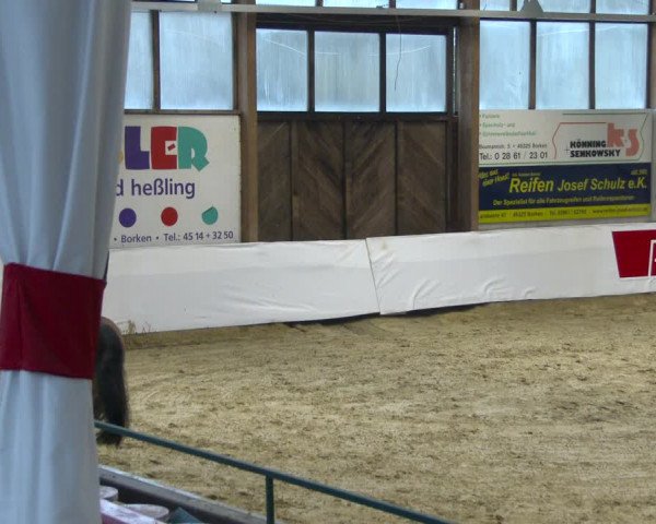 Reitturnier Borken 2020