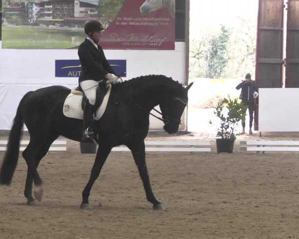 Reitturnier Viernheim 2020