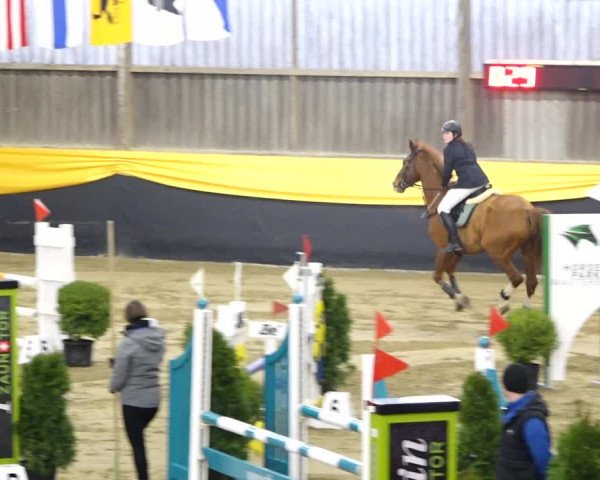 Reitturnier Erlen 2020