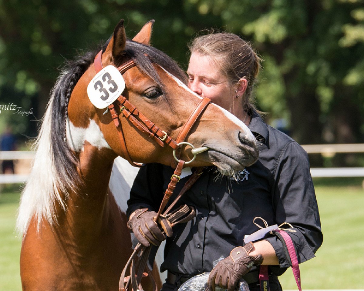 broodmare Ayuna (Lewitzer, 2008, from Alswin)
