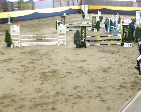 Reitturnier Erlen 2020