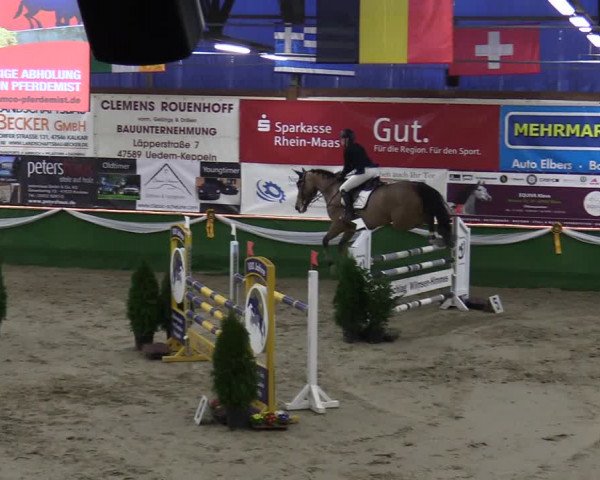 Reitturnier Keppeln - Reitanlage "Hötzenhof" 2020