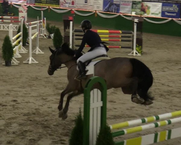 Reitturnier Keppeln - Reitanlage "Hötzenhof" 2020