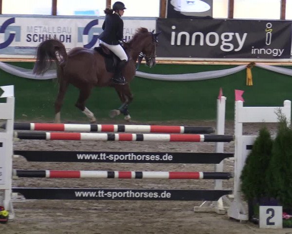 Reitturnier Keppeln - Reitanlage "Hötzenhof" 2020
