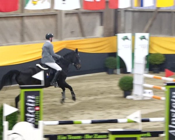 Reitturnier Erlen 2020