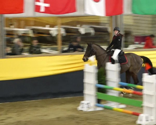 Reitturnier Erlen 2020