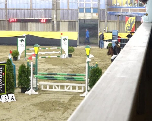 Reitturnier Erlen 2020