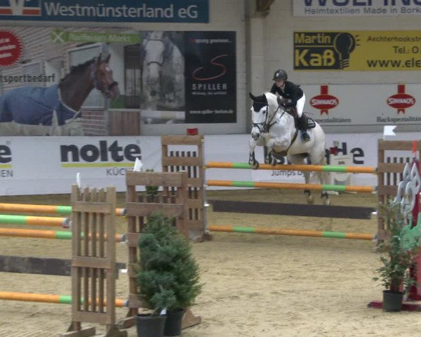 Reitturnier Borken 2020