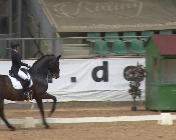 Reitturnier Kreuth/Opf. 2020