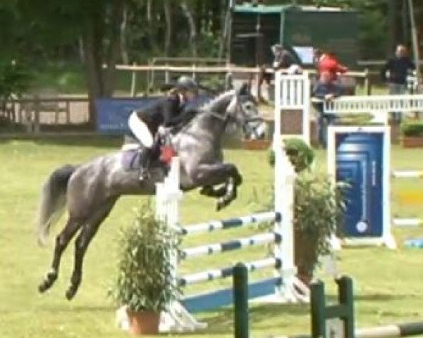 jumper Cris Cab (Holsteiner, 2010, from Cayado 3)