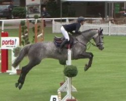 jumper Cassidy S (Holsteiner, 2010, from Cardino)