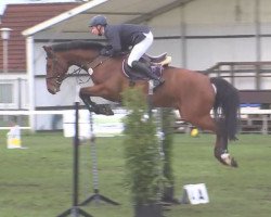 jumper Cooper Royal (Holsteiner, 2010, from Cachas)