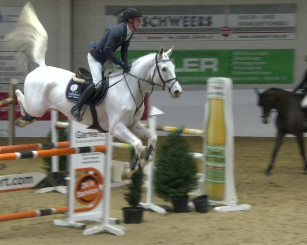 Reitturnier Borken 2020