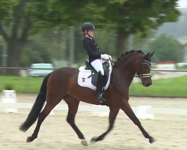 Süddeutsche Ponymeisterschaften Rot am See- Musdorf 2021