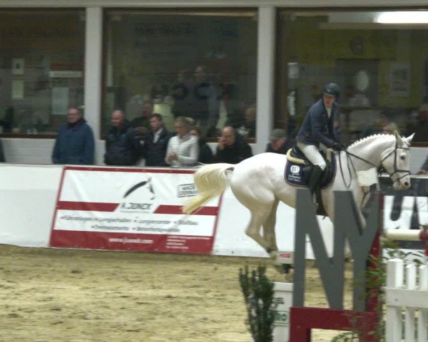 Reitturnier Borken 2020