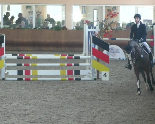 Reitturnier Dettingen 2020