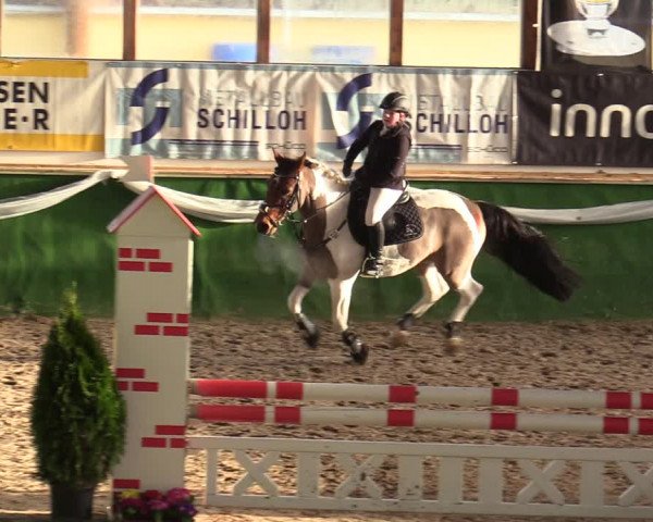 Reitturnier Keppeln - Reitanlage "Hötzenhof" 2020