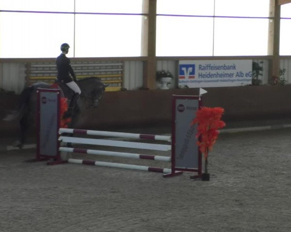 Reitturnier Dettingen 2020