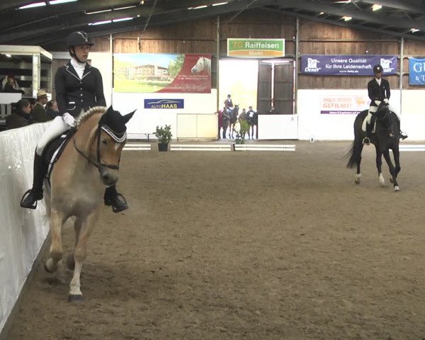 Reitturnier Viernheim 2020